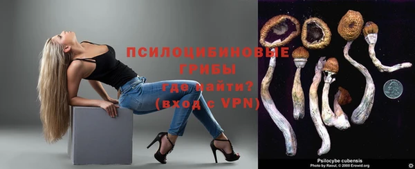 ALPHA PVP Нягань