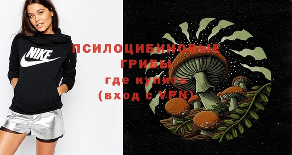 меф Няндома