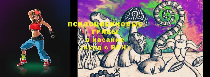 где купить   Ступино  Псилоцибиновые грибы Psilocybine cubensis 